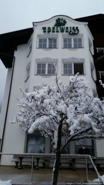 Альбом отзыва "Прекрасный отель в Лермосе рядом с подъемником"