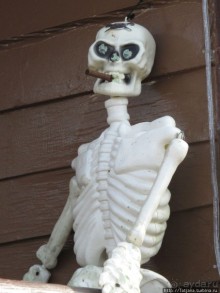 Альбом отзыва "Всматриваясь в лица Карнавала"