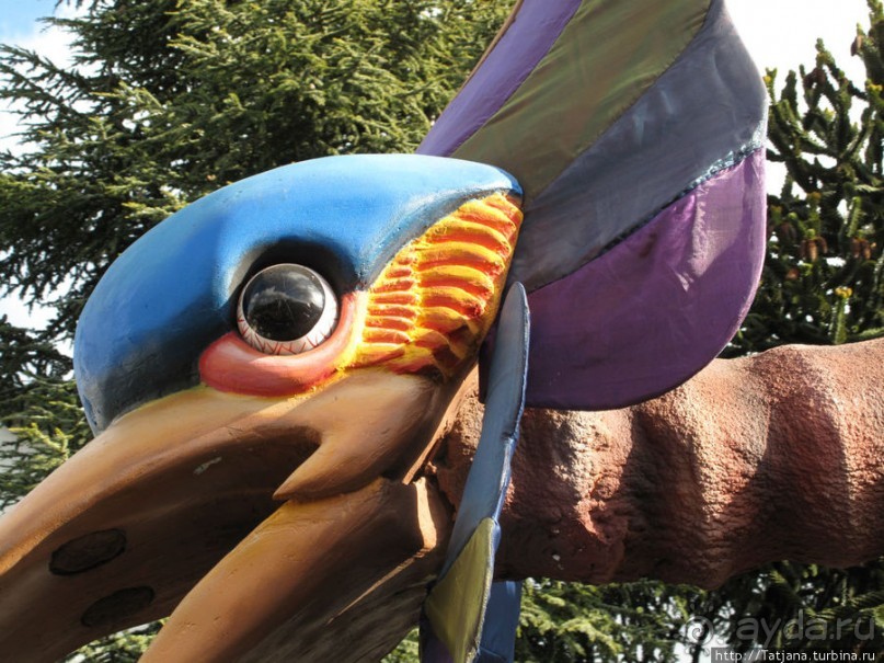 Альбом отзыва "Всматриваясь в лица Карнавала"