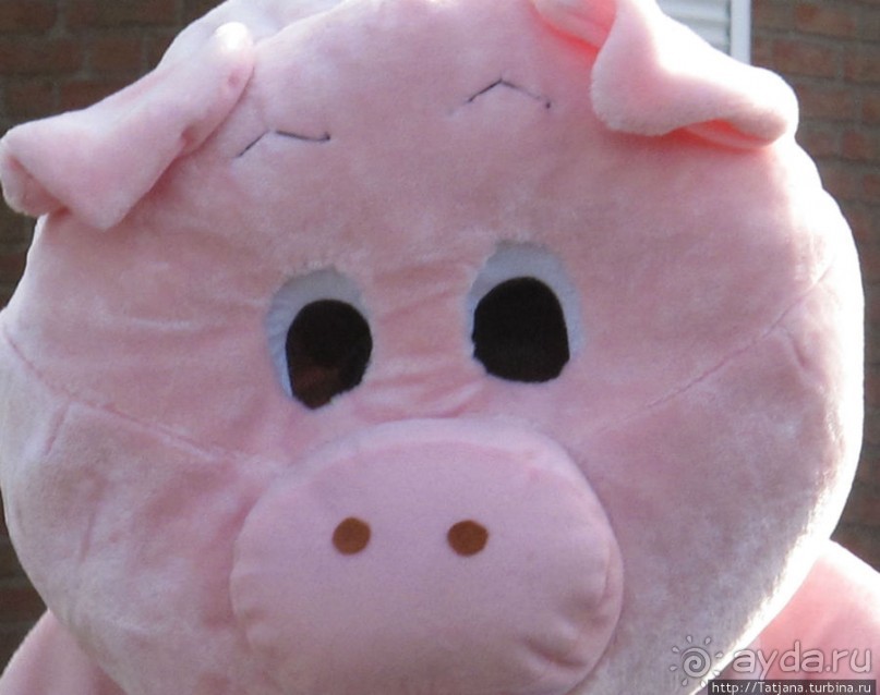 Альбом отзыва "Всматриваясь в лица Карнавала"