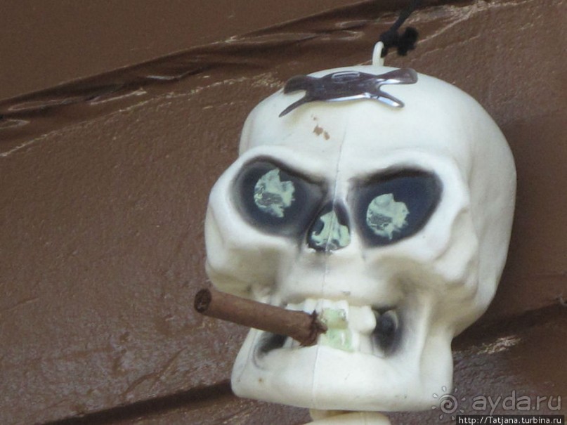 Альбом отзыва "Всматриваясь в лица Карнавала"