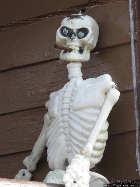 Всматриваясь в лица Карнавала