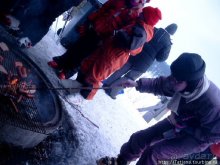 Божественная тишина природы, караоке и сауна.