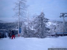 Божественная тишина природы, караоке и сауна.