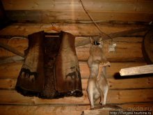 Божественная тишина природы, караоке и сауна.