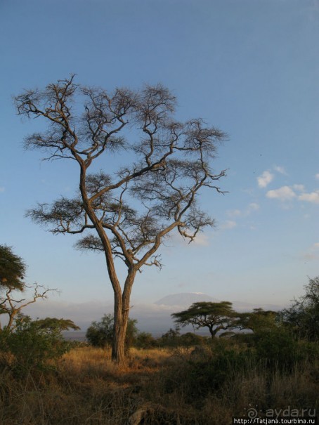 В деревушке Масаев