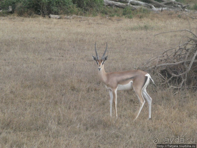 В деревушке Масаев