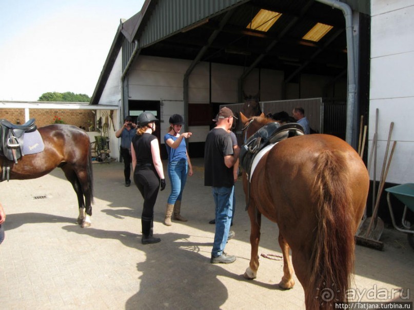 Покататься на лошадях по красивым окресностям Лимбурга