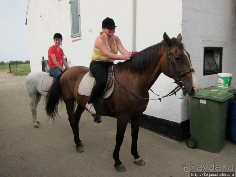 Покататься на лошадях по красивым окресностям Лимбурга