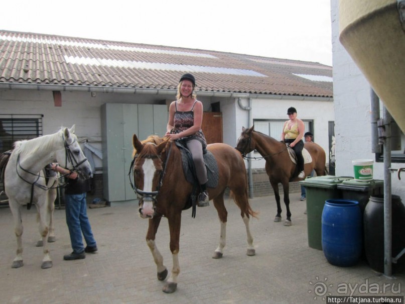 Покататься на лошадях по красивым окресностям Лимбурга