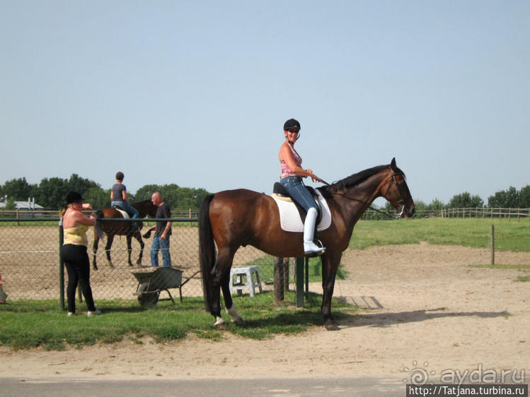 Покататься на лошадях по красивым окресностям Лимбурга