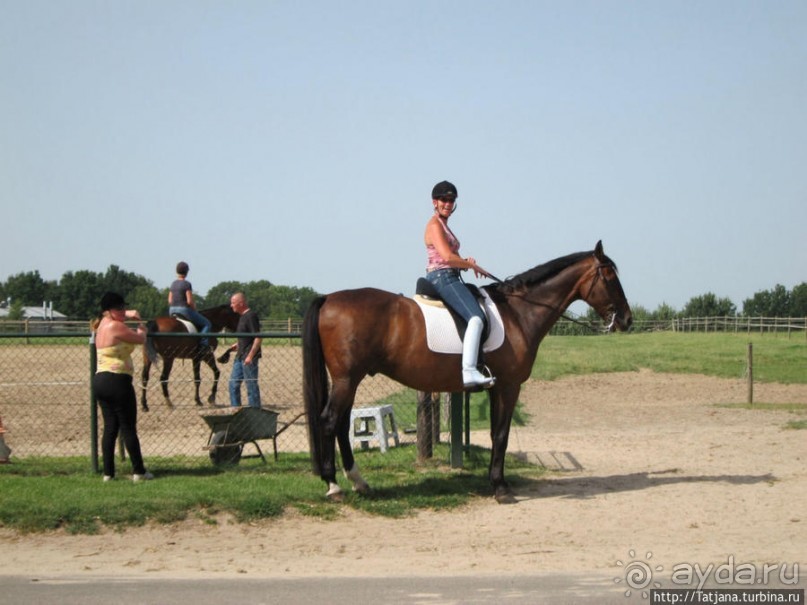 Покататься на лошадях по красивым окресностям Лимбурга