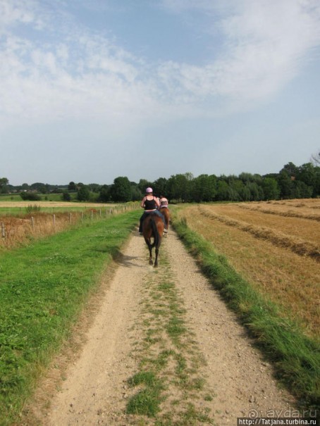 Покататься на лошадях по красивым окресностям Лимбурга