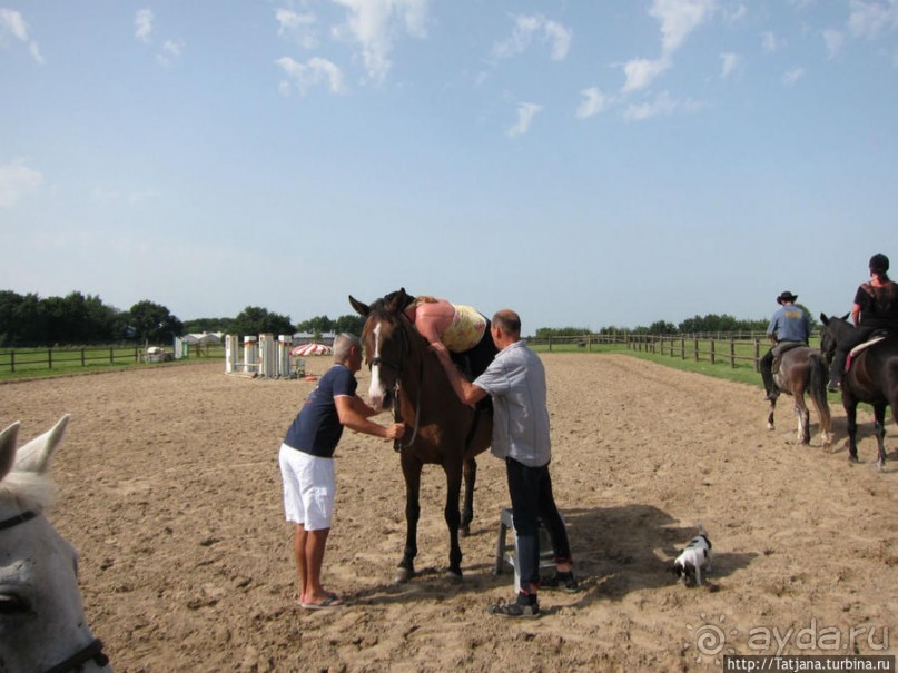 Покататься на лошадях по красивым окресностям Лимбурга