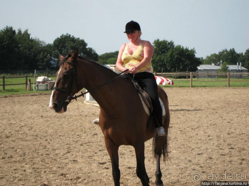 Покататься на лошадях по красивым окресностям Лимбурга