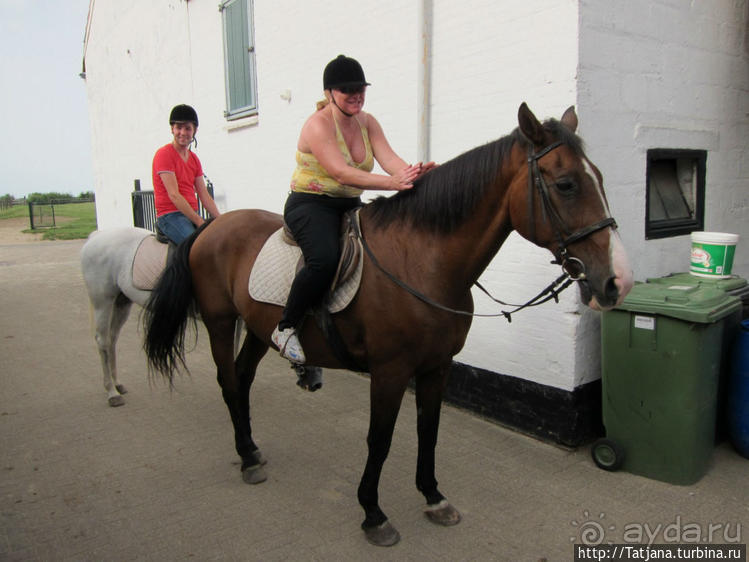 Покататься на лошадях по красивым окресностям Лимбурга