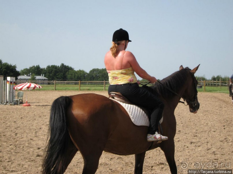 Покататься на лошадях по красивым окресностям Лимбурга