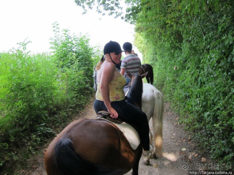 Покататься на лошадях по красивым окресностям Лимбурга