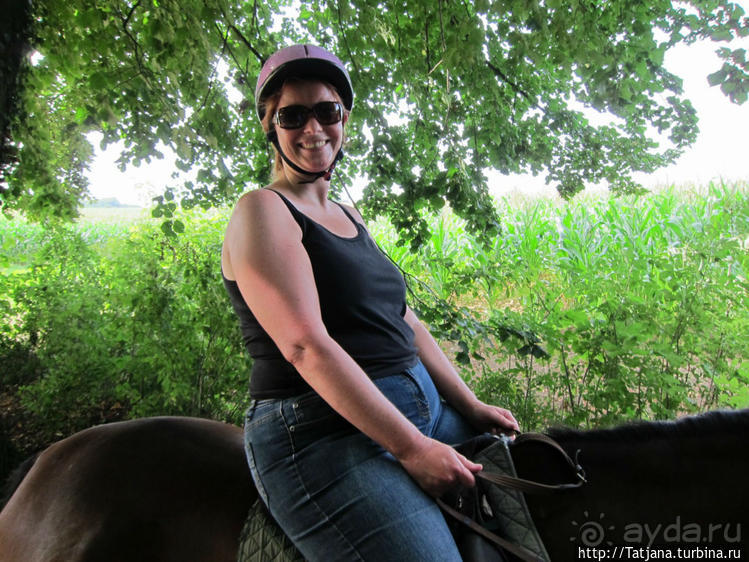 Покататься на лошадях по красивым окресностям Лимбурга