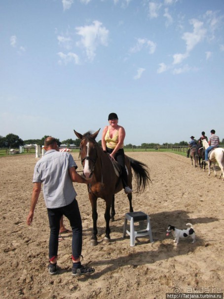 Покататься на лошадях по красивым окресностям Лимбурга