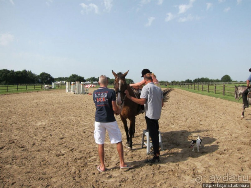 Покататься на лошадях по красивым окресностям Лимбурга