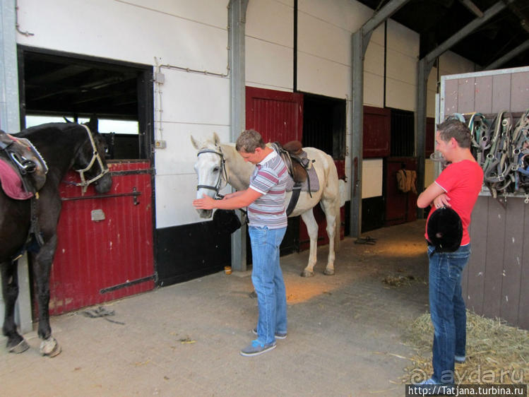 Покататься на лошадях по красивым окресностям Лимбурга