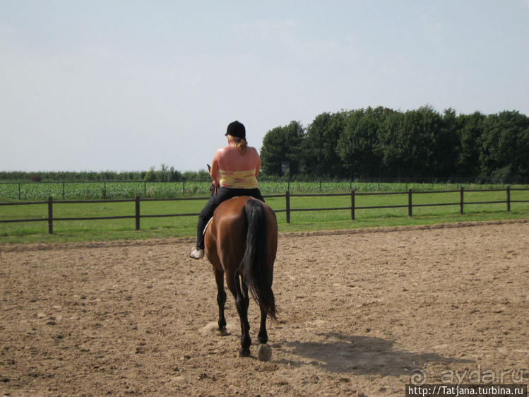 Покататься на лошадях по красивым окресностям Лимбурга