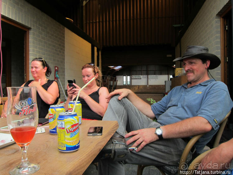 Покататься на лошадях по красивым окресностям Лимбурга