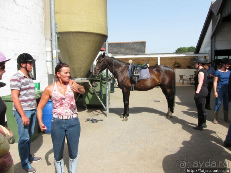 Покататься на лошадях по красивым окресностям Лимбурга