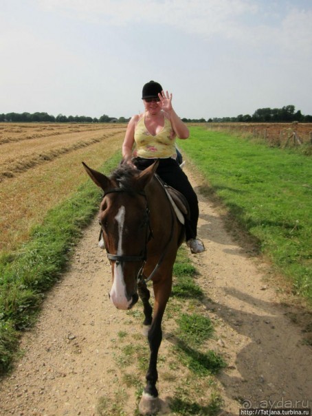 Покататься на лошадях по красивым окресностям Лимбурга