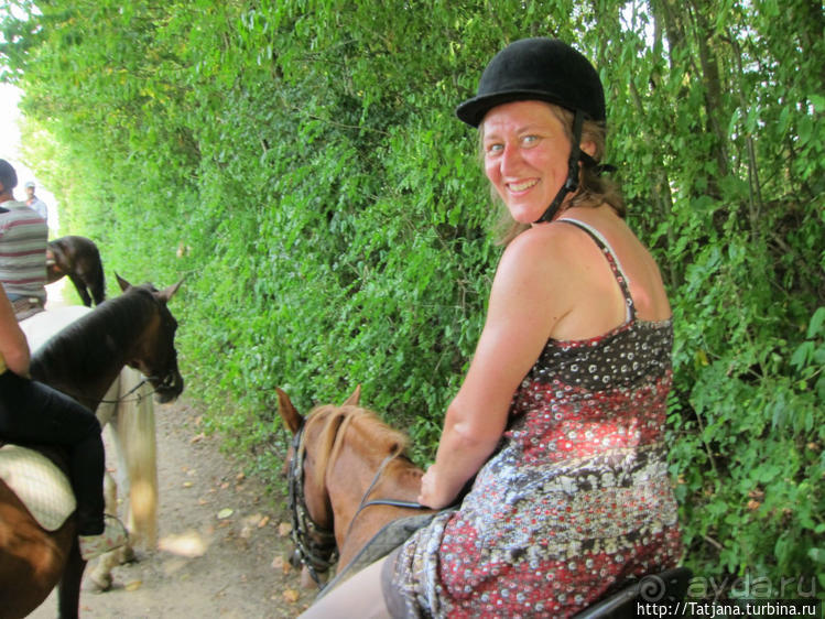 Покататься на лошадях по красивым окресностям Лимбурга