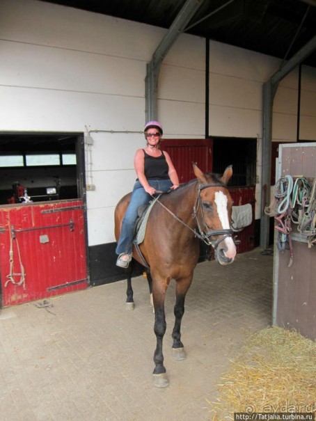 Покататься на лошадях по красивым окресностям Лимбурга