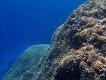 Порт Галиб — новый порт, новый город