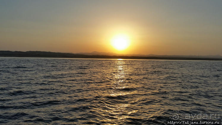 Порт Галиб — новый порт, новый город