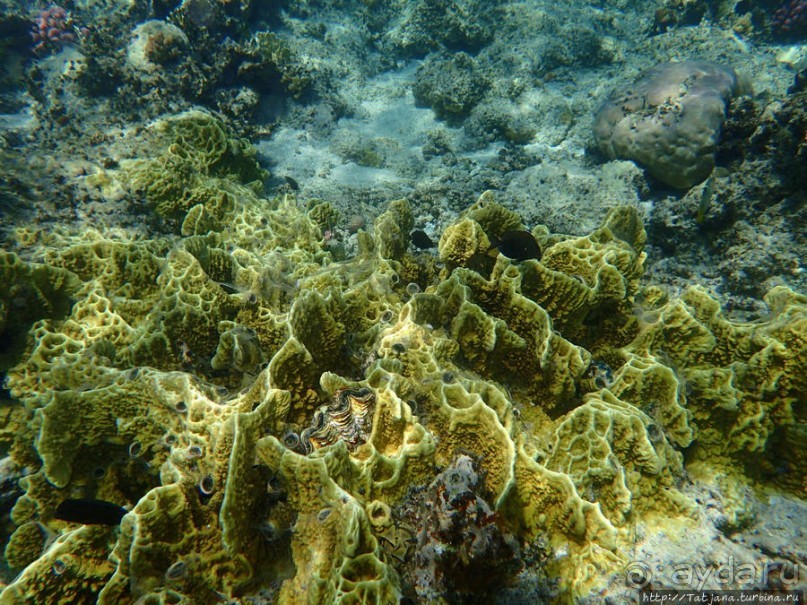 Порт Галиб — новый порт, новый город