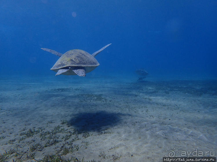Порт Галиб — новый порт, новый город