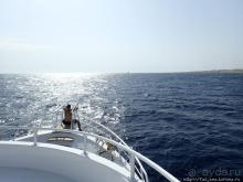 Порт Галиб — новый порт, новый город