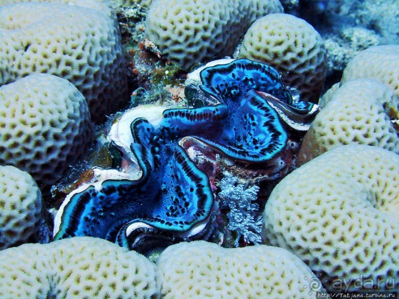 Порт Галиб — новый порт, новый город