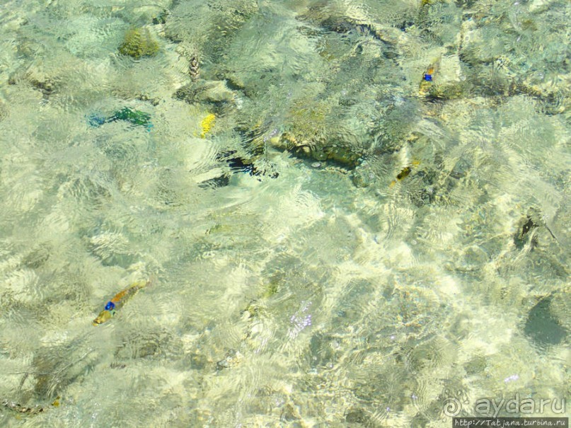 Порт Галиб — новый порт, новый город