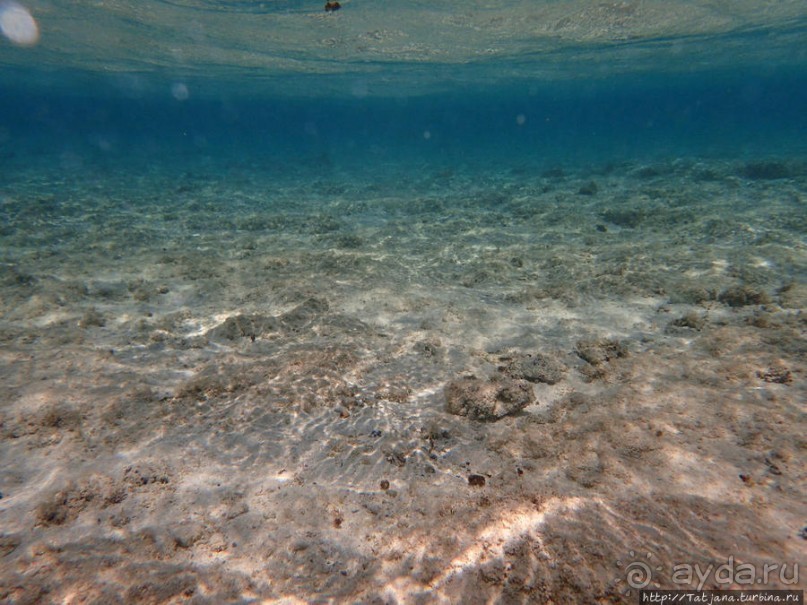 Порт Галиб — новый порт, новый город