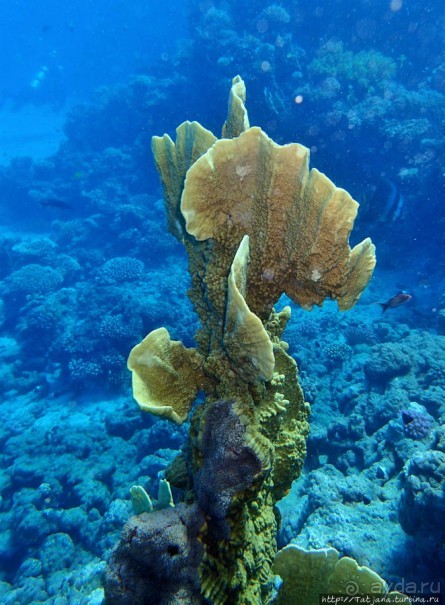 Порт Галиб — новый порт, новый город