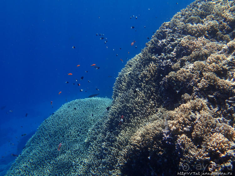 Порт Галиб — новый порт, новый город