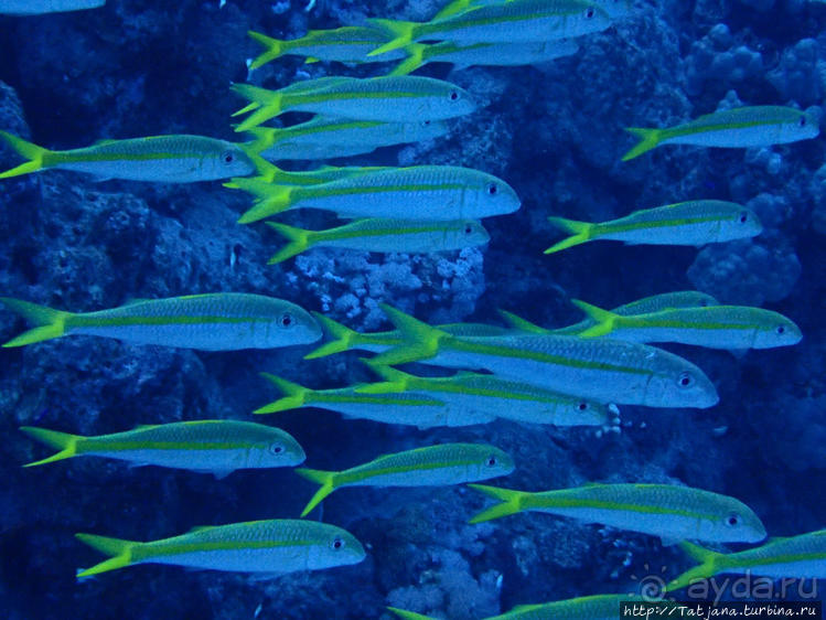 Порт Галиб — новый порт, новый город