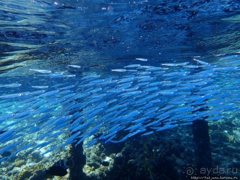 Порт Галиб — новый порт, новый город