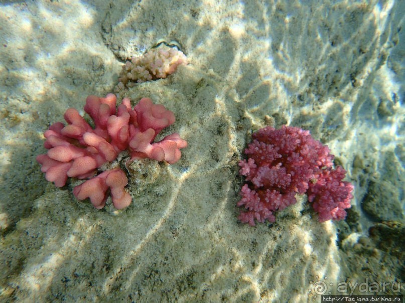 Порт Галиб — новый порт, новый город