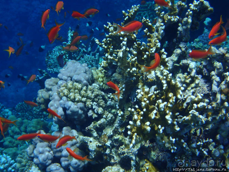 Порт Галиб — новый порт, новый город