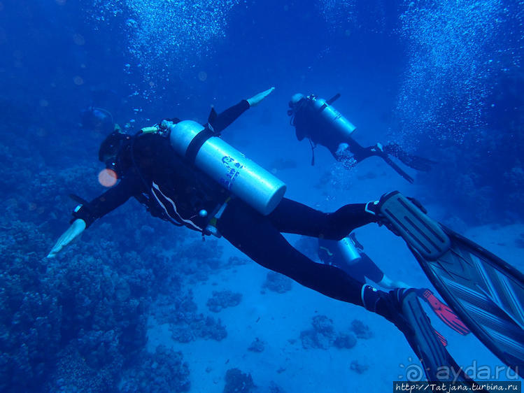 Порт Галиб — новый порт, новый город