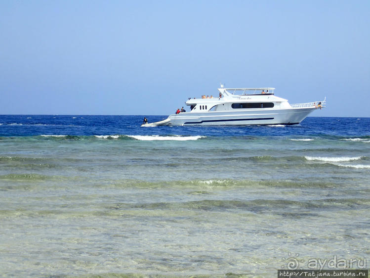 Порт Галиб — новый порт, новый город