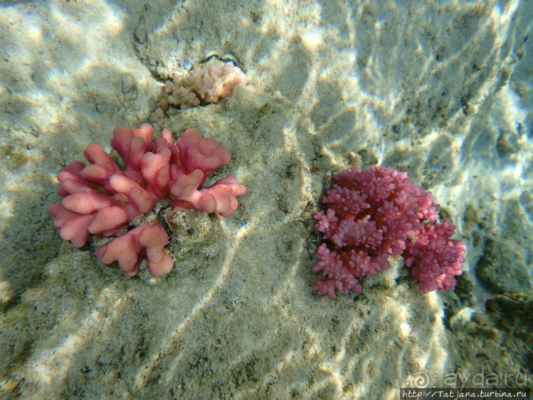 Порт Галиб — новый порт, новый город