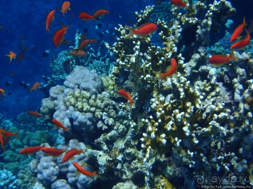 Порт Галиб — новый порт, новый город